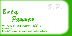 bela pammer business card